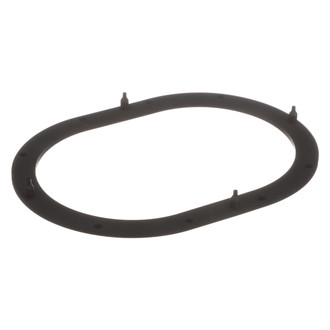 Delphi® - Fuel Pump Tank Seal