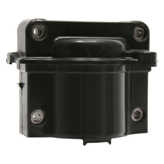 Delphi® - Ignition Coil