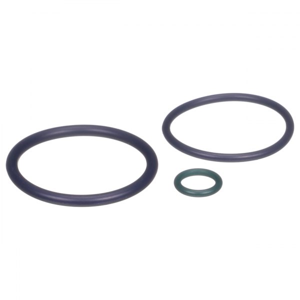 Delphi® - Fuel Injection Nozzle O-Ring Kit