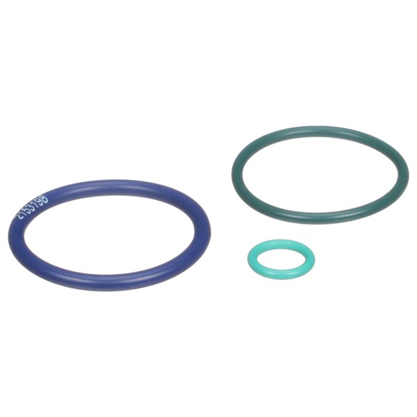 Delphi® - Fuel Injection Nozzle O-Ring Kit