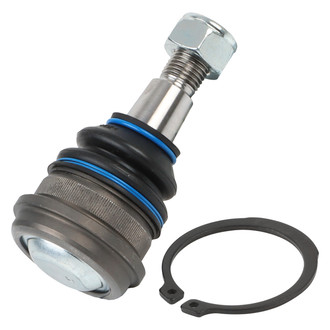 Delphi® - Front Lower Ball Joint