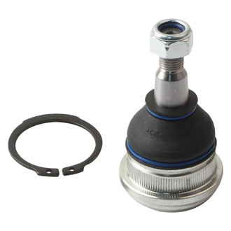 Delphi® - Front Lower Ball Joint
