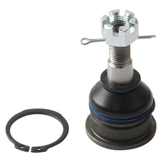 Delphi® - Front Lower Ball Joint