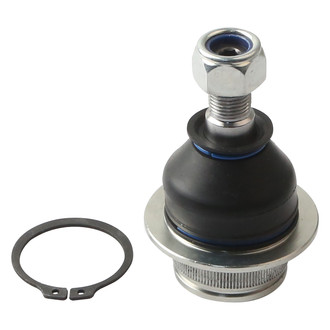 Delphi® - Front Lower Ball Joint