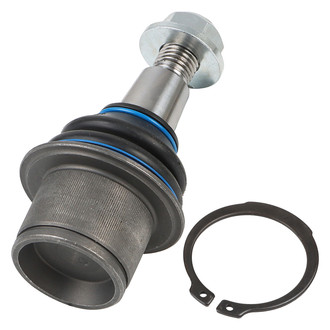 Delphi® - Front Lower Ball Joint