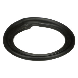 Delphi® - Coil Spring Seat