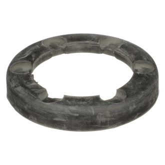 Delphi® - Coil Spring Seat
