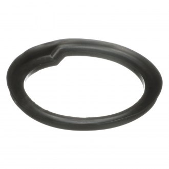 Delphi® - Coil Spring Seat