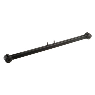 Delphi® - Trailing Arm