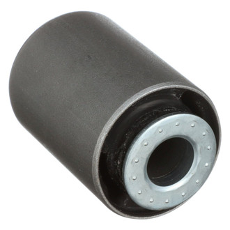 Delphi® - Radius Arm Bushing