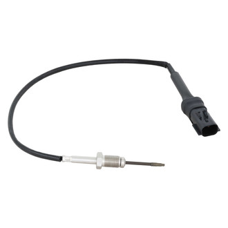 Delphi® - Exhaust Gas Temperature (EGT) Sensor