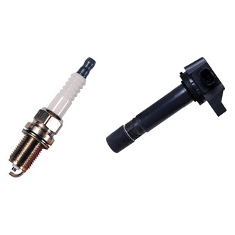 Denso® - Ignition Coil and Spark Plug Kit