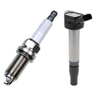 Denso® - Ignition Coil and Spark Plug Kit