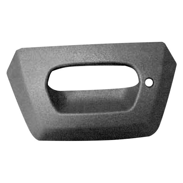 Depo® - Tailgate Handle Bezel