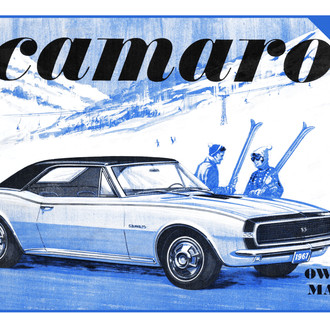 Detroit Iron® - Owners Manual