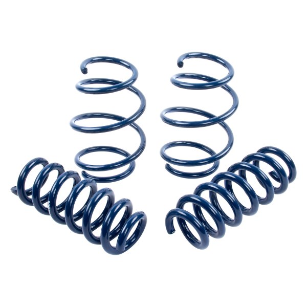 Dinan® - 1" x 1" Front and Rear Lowering Coil Springs