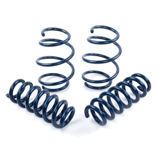 Dinan® - Performance Lowering Spring Set