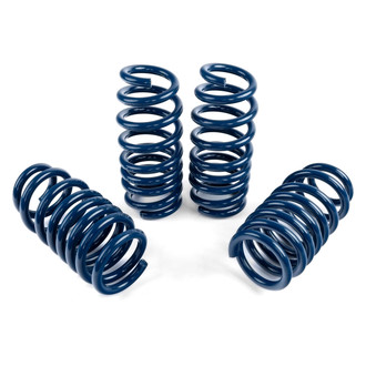 Dinan® - Performance Lowering Spring Set