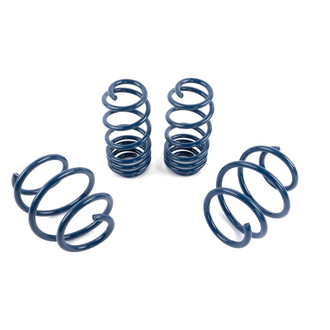 Dinan® - Performance Lowering Spring Set