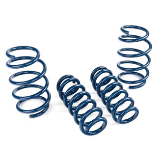 Dinan® - Performance Lowering Spring Set