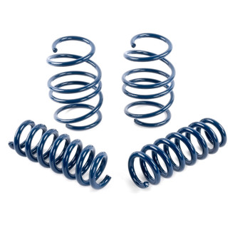Dinan® - Performance Lowering Spring Set