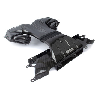 Dinan® - Carbon Fiber Cold Air Intake System with Blue Filter