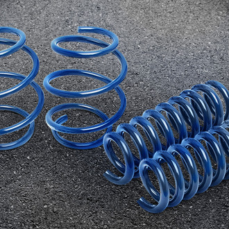 Dinan® - Lowering Spring Set