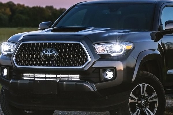 2020 Catalog (23.7 MB)