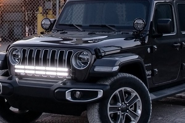 2019 Catalog (14.5 MB)