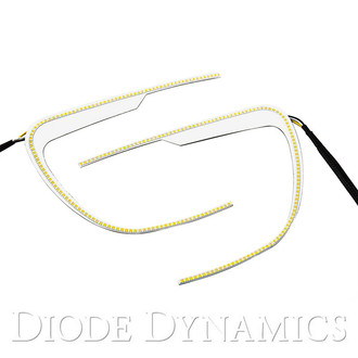 Diode Dynamics® - C-Light LED Halo Kit