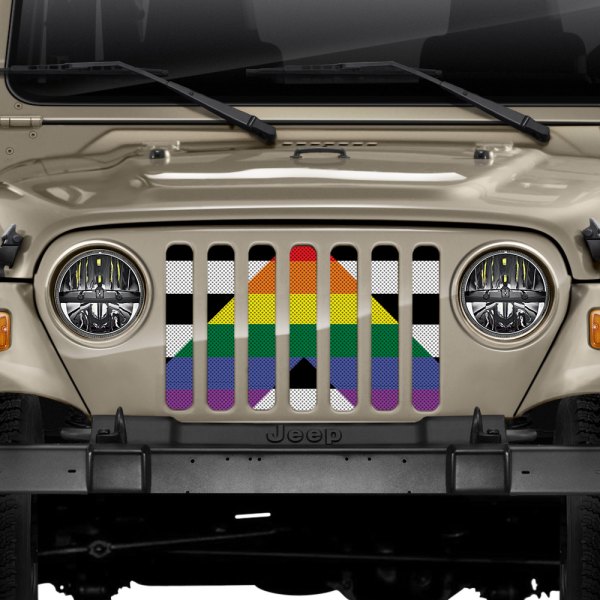 Dirty Acres® - 1-Pc Ally Flag Style Perforated Main Grille