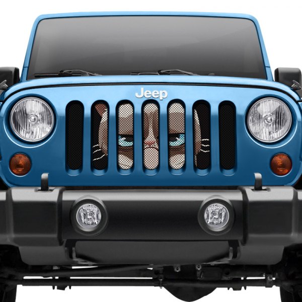 Dirty Acres® - 1-Pc Angry Cat Style Perforated Main Grille