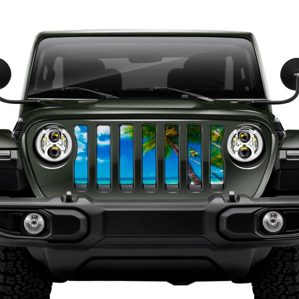 Dirty Acres® - 1-Pc Tropical Sky Style Perforated Main Grille