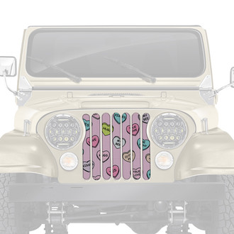 Dirty Acres® - 1-Pc Conversation Hearts Style Perforated Main Grille