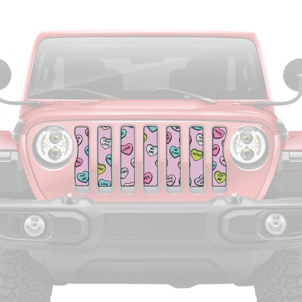 Dirty Acres® - 1-Pc Conversation Hearts Style Perforated Main Grille