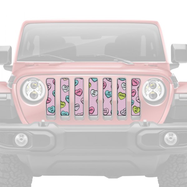 Dirty Acres® - 1-Pc Conversation Hearts Style Perforated Main Grille