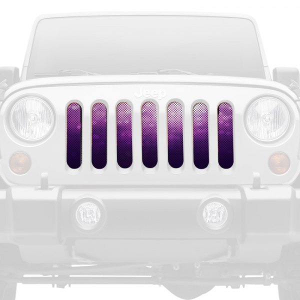 Dirty Acres® - 1-Pc Ladies Night Style Perforated Main Grille
