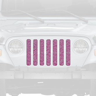 Dirty Acres® - 1-Pc Glitterriffic Style Perforated Main Grille