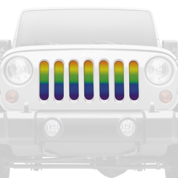 Dirty Acres® - 1-Pc Pride Flag Ombre Style Perforated Main Grille