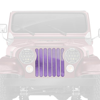 Dirty Acres® - 1-Pc Ombre Style Purple/White Perforated Main Grille