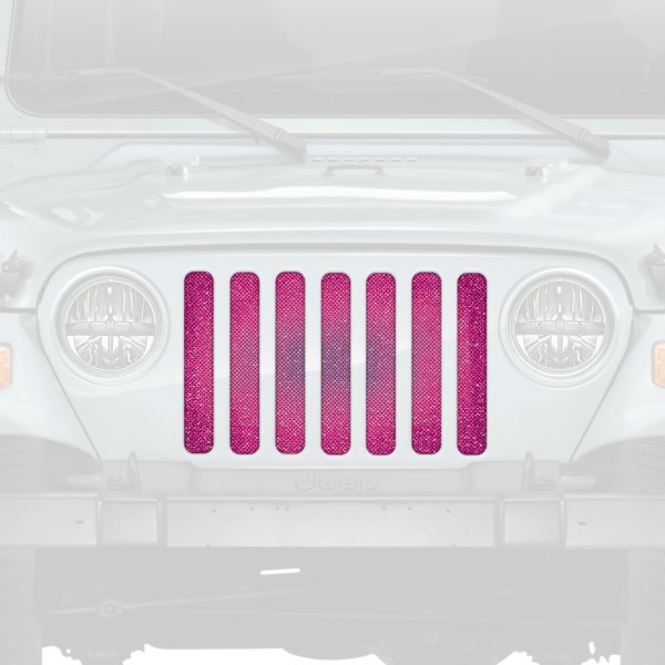Dirty Acres® - 1-Pc Fleck Style Purple Perforated Main Grille