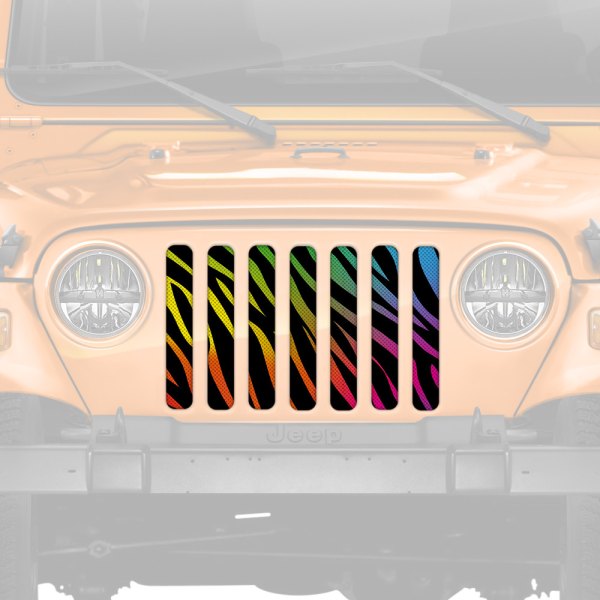 Dirty Acres® - 1-Pc Rainbow Zebra Style Perforated Main Grille