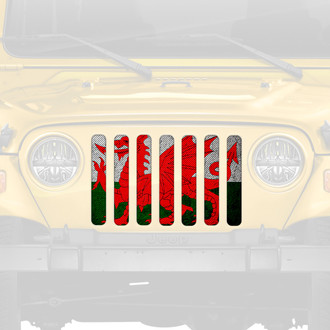 Dirty Acres® - 1-Pc Rustic Welsh Dragon Flag Style Perforated Main Grille