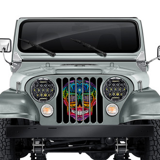 Dirty Acres® - 1-Pc Sugar Skull Rainbow Style Perforated Main Grille