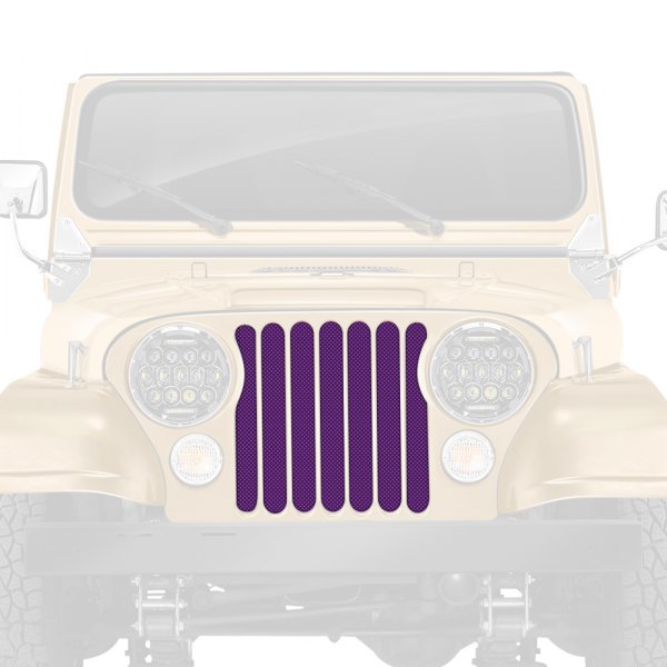 Dirty Acres® - 1-Pc Solid Color Style Purple Perforated Main Grille