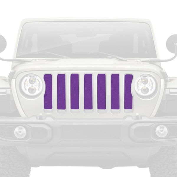 Dirty Acres® - 1-Pc Solid Color Style Purple Perforated Main Grille