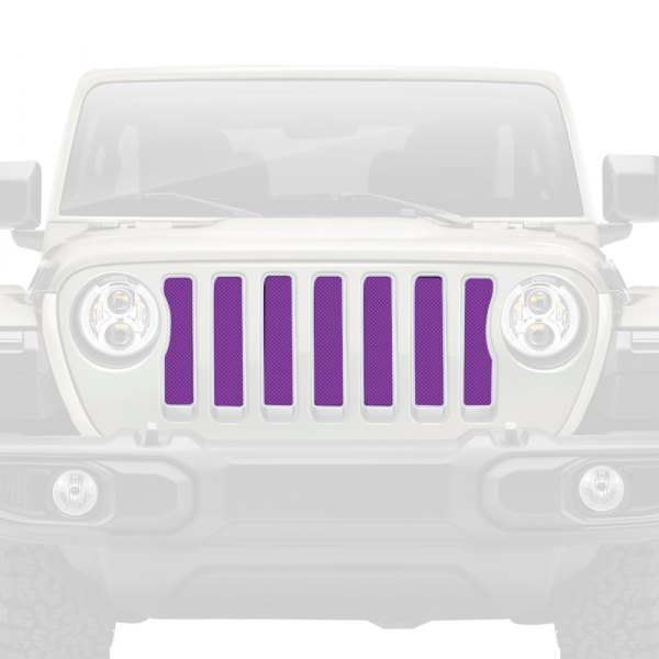 Dirty Acres® - 1-Pc Solid Color Style Purple Perforated Main Grille