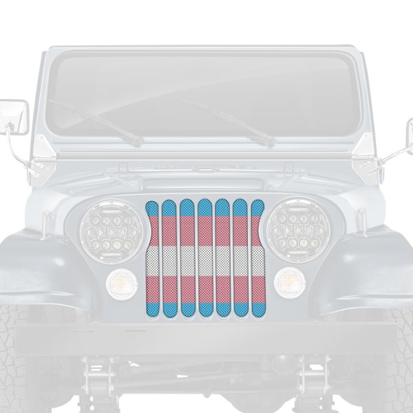 Dirty Acres® - 1-Pc Transgender Flag Style Perforated Main Grille