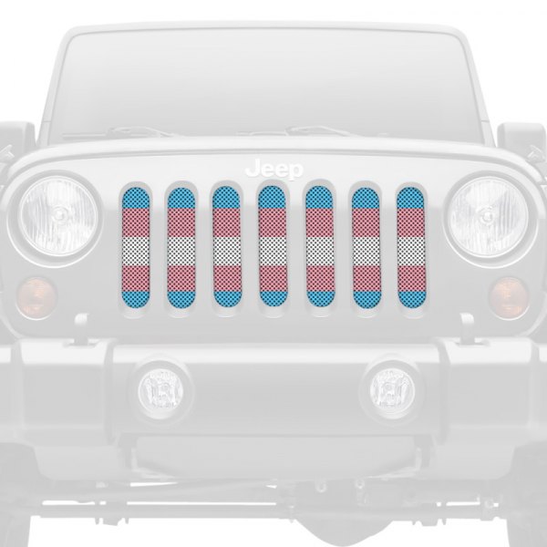 Dirty Acres® - 1-Pc Transgender Flag Style Perforated Main Grille