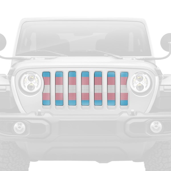 Dirty Acres® - 1-Pc Transgender Flag Style Perforated Main Grille